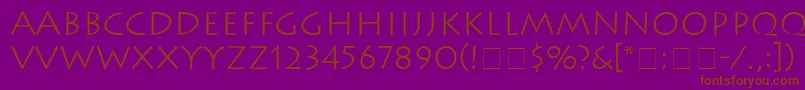 AustereLightSsiLight Font – Brown Fonts on Purple Background