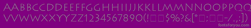 AustereLightSsiLight Font – Gray Fonts on Purple Background