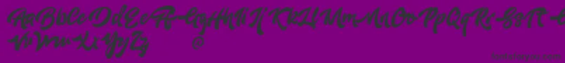 AdleitDemo Font – Black Fonts on Purple Background