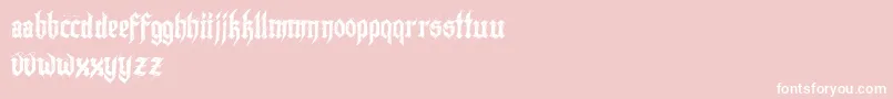 Lazymonkdemo-Schriftart – Weiße Schriften auf rosa Hintergrund