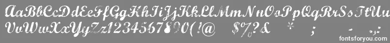 MarcelleScript-Schriftart – Weiße Schriften auf grauem Hintergrund