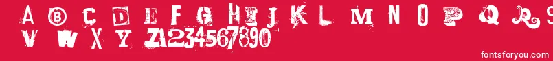 Laundromat1967 Font – White Fonts on Red Background