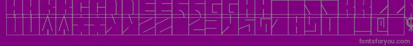 Blaise1.1 Font – Gray Fonts on Purple Background