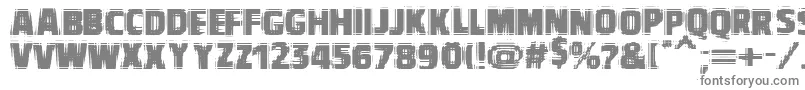VtcbadvisionRegular Font – Gray Fonts on White Background