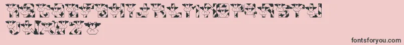 LmsConradsCows Font – Black Fonts on Pink Background