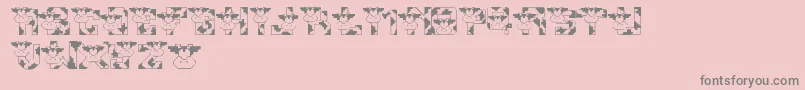 LmsConradsCows Font – Gray Fonts on Pink Background