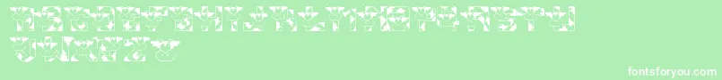 LmsConradsCows Font – White Fonts on Green Background