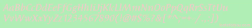 SyndorItcMediumItalic Font – Pink Fonts on Green Background