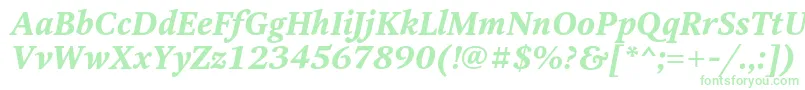 OctavaBoldItalic Font – Green Fonts