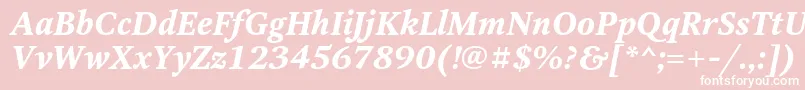 OctavaBoldItalic Font – White Fonts on Pink Background