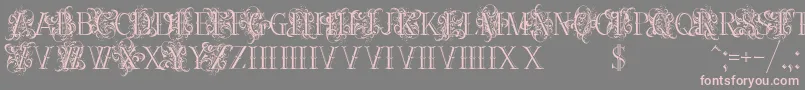 Ornamentalversals Font – Pink Fonts on Gray Background