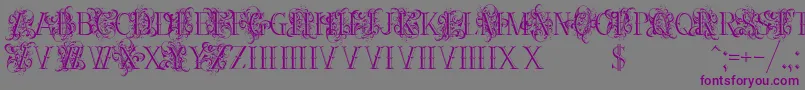 Weitere Informationen zur Ornamentalversals-Schriftart Ornamentalversals-Schriftart – Violette Schriften auf grauem Hintergrund