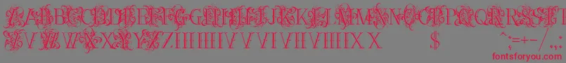 Ornamentalversals Font – Red Fonts on Gray Background
