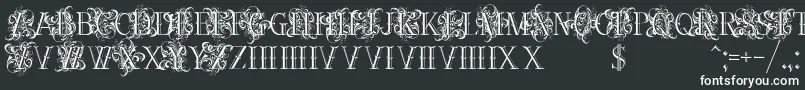 Ornamentalversals Font – White Fonts