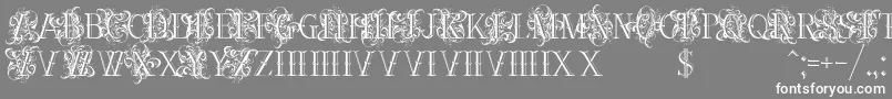 フォントOrnamentalversals – 灰色の背景に白い文字