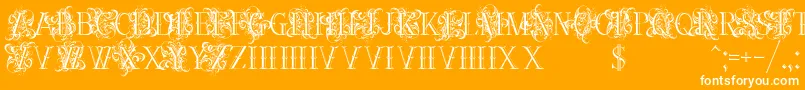 Ornamentalversals Font – White Fonts on Orange Background