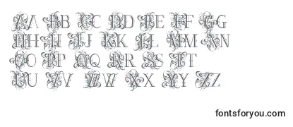 Ornamentalversals Font