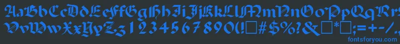 PaladinRegular Font – Blue Fonts on Black Background