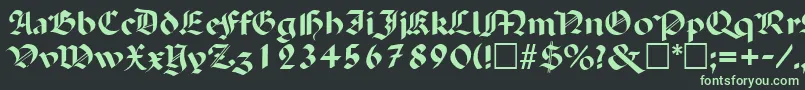 PaladinRegular Font – Green Fonts on Black Background