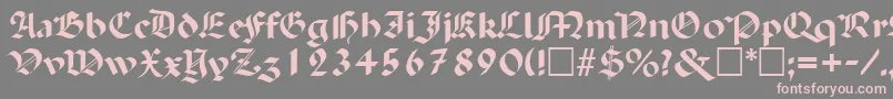 PaladinRegular Font – Pink Fonts on Gray Background