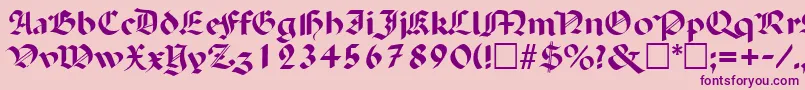 PaladinRegular Font – Purple Fonts on Pink Background