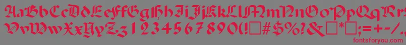 フォントPaladinRegular – 赤い文字の灰色の背景