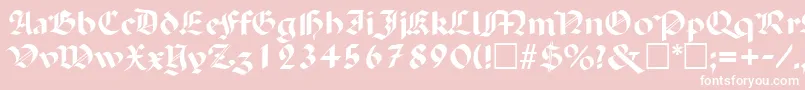 PaladinRegular Font – White Fonts on Pink Background