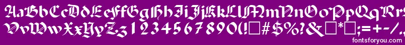 PaladinRegular Font – White Fonts on Purple Background
