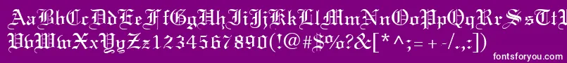 TexturRegular Font – White Fonts on Purple Background