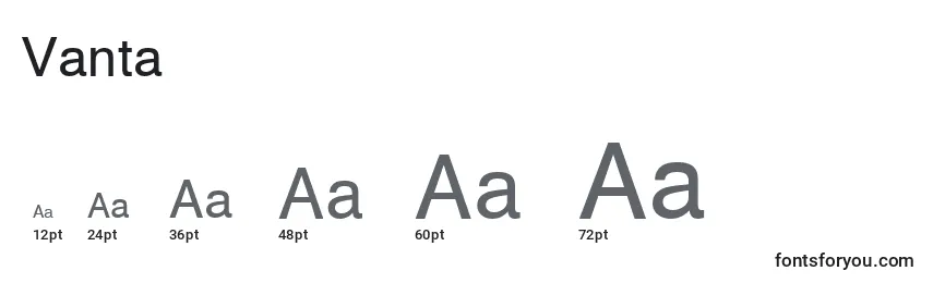Размеры шрифта Vanta