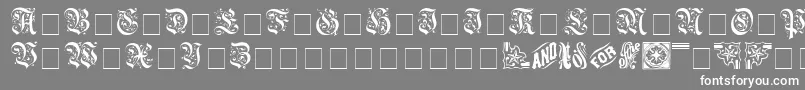 AeternaCapsSsi Font – White Fonts on Gray Background