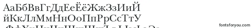 NewbaskervillecRoman-fontti – venäjän fontit