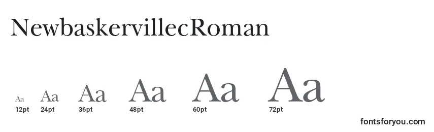 Размеры шрифта NewbaskervillecRoman