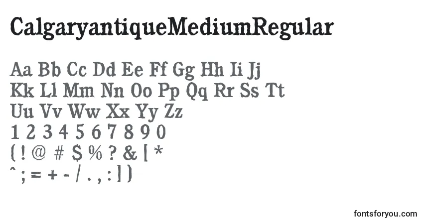 Czcionka CalgaryantiqueMediumRegular – alfabet, cyfry, specjalne znaki