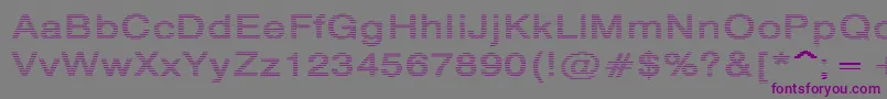 Шрифт HildieRegular – фиолетовые шрифты на сером фоне