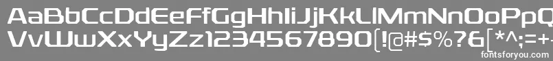 フォントRexliaRg – 灰色の背景に白い文字