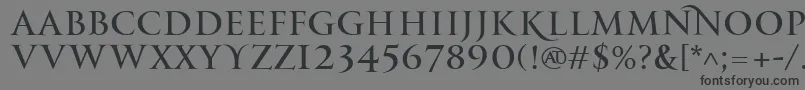 PfmonumentaproRegular Font – Black Fonts on Gray Background