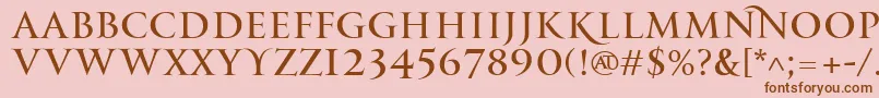 PfmonumentaproRegular Font – Brown Fonts on Pink Background