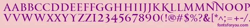 PfmonumentaproRegular Font – Purple Fonts on Pink Background