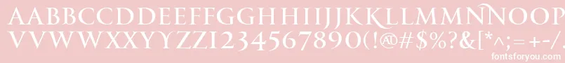 PfmonumentaproRegular Font – White Fonts on Pink Background