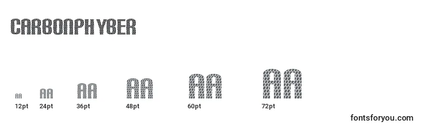 Размеры шрифта Carbonphyber