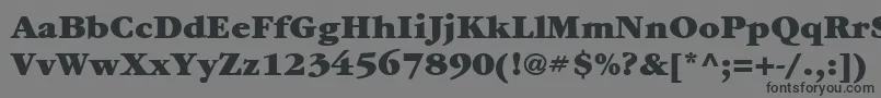 ItcGaramondLtUltra-Schriftart – Schwarze Schriften auf grauem Hintergrund