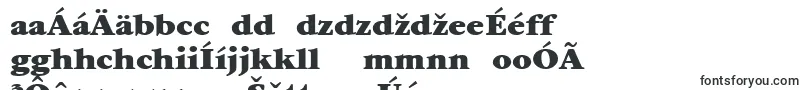 ItcGaramondLtUltra-Schriftart – slowakische Schriften