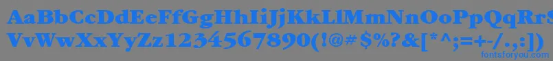フォントItcGaramondLtUltra – 灰色の背景に青い文字