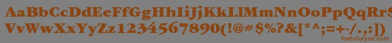 フォントItcGaramondLtUltra – 茶色の文字が灰色の背景にあります。