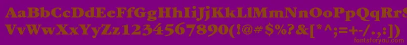 Шрифт ItcGaramondLtUltra – коричневые шрифты на фиолетовом фоне