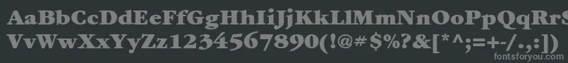 ItcGaramondLtUltra-Schriftart – Graue Schriften auf schwarzem Hintergrund