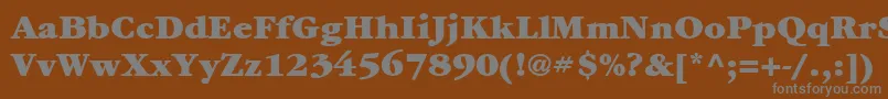 フォントItcGaramondLtUltra – 茶色の背景に灰色の文字