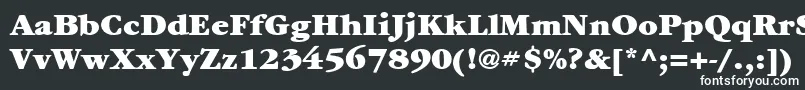 Шрифт ItcGaramondLtUltra – белые шрифты на чёрном фоне
