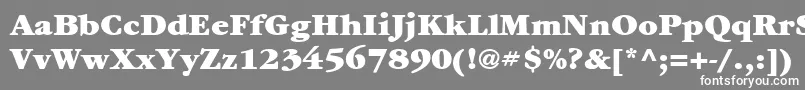 Шрифт ItcGaramondLtUltra – белые шрифты на сером фоне